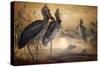 Shoebilled Stork, 1861-Joseph Wolf-Stretched Canvas