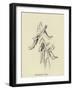 Shoebootia Utilis-Edward Lear-Framed Giclee Print