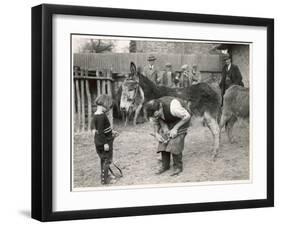 Shoeing (Hooving) a Donkey at a Farm in Deal-null-Framed Art Print