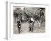 Shoeing (Hooving) a Donkey at a Farm in Deal-null-Framed Art Print