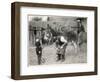 Shoeing (Hooving) a Donkey at a Farm in Deal-null-Framed Art Print