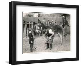 Shoeing (Hooving) a Donkey at a Farm in Deal-null-Framed Art Print