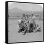 Shoeing Horses at Naauwpoort, South Africa, Boer War, 1900-Underwood & Underwood-Framed Stretched Canvas