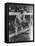 Shoeless Joe Jackson, Chicago White Sox, Baseball Photo - Chicago, IL-Lantern Press-Framed Stretched Canvas