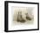 Shoes 1899-Dudley Hardy-Framed Art Print