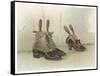 Shoes 1899-Dudley Hardy-Framed Stretched Canvas