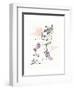 Shoes La La-Megan Swartz-Framed Art Print