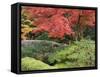 Shojo-En Zen Garden, Nikko, Central Honshu, Japan-Schlenker Jochen-Framed Stretched Canvas