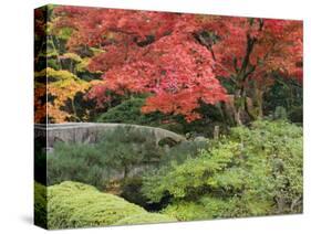 Shojo-En Zen Garden, Nikko, Central Honshu, Japan-Schlenker Jochen-Stretched Canvas