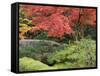 Shojo-En Zen Garden, Nikko, Central Honshu, Japan-Schlenker Jochen-Framed Stretched Canvas