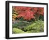 Shojo-En Zen Garden, Nikko, Central Honshu, Japan-Schlenker Jochen-Framed Photographic Print