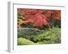 Shojo-En Zen Garden, Nikko, Central Honshu, Japan-Schlenker Jochen-Framed Photographic Print