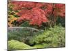 Shojo-En Zen Garden, Nikko, Central Honshu, Japan-Schlenker Jochen-Mounted Photographic Print