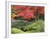 Shojo-En Zen Garden, Nikko, Central Honshu, Japan-Schlenker Jochen-Framed Photographic Print