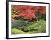 Shojo-En Zen Garden, Nikko, Central Honshu, Japan-Schlenker Jochen-Framed Photographic Print