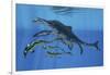 Shonisaurus Hunting Cymbospondylus in Triassic Waters-Stocktrek Images-Framed Art Print