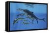 Shonisaurus Hunting Cymbospondylus in Triassic Waters-Stocktrek Images-Framed Stretched Canvas