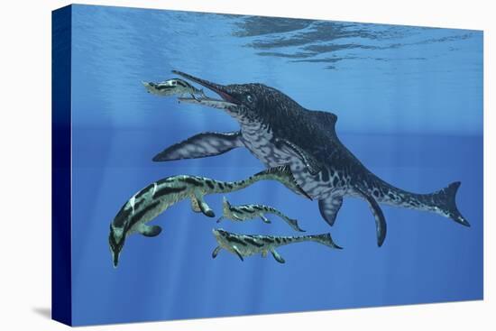 Shonisaurus Hunting Cymbospondylus in Triassic Waters-Stocktrek Images-Stretched Canvas