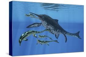 Shonisaurus Hunting Cymbospondylus in Triassic Waters-Stocktrek Images-Stretched Canvas