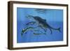 Shonisaurus Hunting Cymbospondylus in Triassic Waters-Stocktrek Images-Framed Art Print