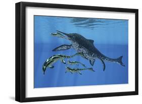 Shonisaurus Hunting Cymbospondylus in Triassic Waters-Stocktrek Images-Framed Art Print