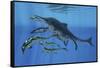 Shonisaurus Hunting Cymbospondylus in Triassic Waters-Stocktrek Images-Framed Stretched Canvas