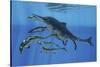 Shonisaurus Hunting Cymbospondylus in Triassic Waters-Stocktrek Images-Stretched Canvas