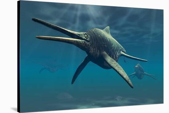 Shonisaurus Was a Genus of Ichthyosaur from the Triassic Period-null-Stretched Canvas