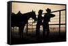 Shooing the Breeze-Dan Ballard-Framed Stretched Canvas