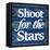 Shoot for the Stars-Elizabeth Medley-Framed Stretched Canvas