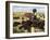 Shooting Buffalo on the Kansas-Pacific Railroad-null-Framed Giclee Print