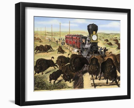 Shooting Buffalo on the Kansas-Pacific Railroad-null-Framed Giclee Print