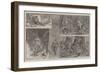 Shooting Bush-Fowl in West Africa-null-Framed Giclee Print