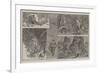 Shooting Bush-Fowl in West Africa-null-Framed Giclee Print