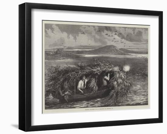 Shooting Canvas-Back Ducks in Chesapeake Bay, Maryland, US-null-Framed Giclee Print