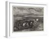 Shooting Canvas-Back Ducks in Chesapeake Bay, Maryland, US-null-Framed Giclee Print