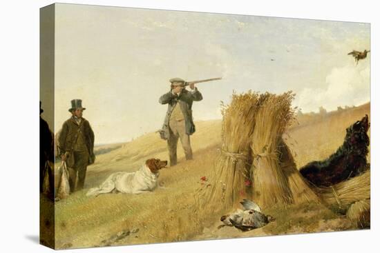Shooting Partridge over Dogs-Richard Ansdell-Stretched Canvas
