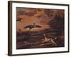 'Shooting Plover', late 17th century, (1922)-Francis Barlow-Framed Giclee Print