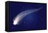 Shooting Star-clearviewstock-Framed Stretched Canvas