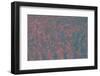 Shooting Stars in Bloom-Art Wolfe-Framed Photographic Print