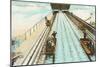 Shooting the Chutes, Coney Island, New York City-null-Mounted Art Print