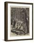 Shooting Turkeys in an American Forest-Arthur Boyd Houghton-Framed Giclee Print