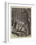 Shooting Turkeys in an American Forest-Arthur Boyd Houghton-Framed Giclee Print