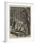 Shooting Turkeys in an American Forest-Arthur Boyd Houghton-Framed Giclee Print