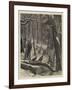 Shooting Turkeys in an American Forest-Arthur Boyd Houghton-Framed Giclee Print