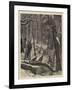 Shooting Turkeys in an American Forest-Arthur Boyd Houghton-Framed Giclee Print