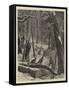 Shooting Turkeys in an American Forest-Arthur Boyd Houghton-Framed Stretched Canvas