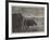 Shooting Wildfowl on the Upper Thames, the Stalking-Horse-Henry Robert Robertson-Framed Giclee Print