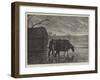 Shooting Wildfowl on the Upper Thames, the Stalking-Horse-Henry Robert Robertson-Framed Giclee Print