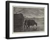 Shooting Wildfowl on the Upper Thames, the Stalking-Horse-Henry Robert Robertson-Framed Giclee Print